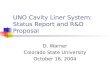 UNO Cavity Liner System: Status Report and R&D Proposal