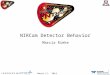 NIRCam Detector Behavior