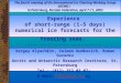 Experience  of short-range (1-5 days) numerical ice forecasts for the freezing seas 