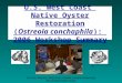 U.S. West Coast  Native Oyster Restoration ( Ostreola conchaphila ):  2006 Workshop Summary