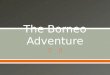 The Borneo Adventure