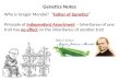 Genetics Notes Who is  Gregor  Mendel?