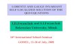 LORENTZ AND GAUGE INVARIANT SELF-LOCALIZED  SOLUTION OF  THE   QED  EQUATIONS