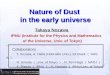 Nature of Dust  in the early universe