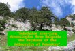 “Subalpine tree-ring chronologies from Bulgaria – the database of the University of Forestry"