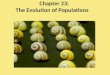 Chapter  23: The Evolution of Populations