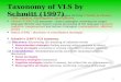 Taxonomy of VLS by  Schmitt (1997)