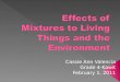 Effects of Mixtures to Living Things and the Environment