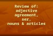 Review of: adjective agreement, ser, nouns & articles