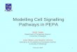 Modelling Cell Signalling Pathways in PEPA