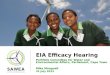 EIA Efficacy Hearing