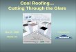 Cool Roofing… Cutting Through the Glare