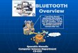BLUETOOTH Overview