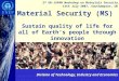 Material Security (MS)  Sustain quality of life for all of Earth’s people through innovation