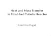 Heat and Mass Transfer  in Fixed-bed Tubular Reactor
