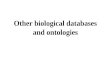 Other biological databases and ontologies