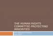 The Human Rights Committee  protecting minorities