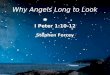 Why Angels Long to Look