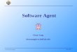 Software Agent