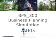 BPS_300 Business Planning Simulation