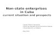 Non-state enterprises  in Cuba current situation and prospects