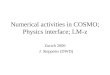 Numerical activities in COSMO; Physics interface; LM-z