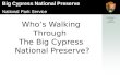 Who’s Walking Through  The Big Cypress  National Preserve?
