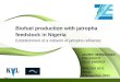 Biofuel production with jatropha feedstock in Nigeria