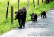 Mother Bear and Her Baby Cubs  By Kiley Sarcinella