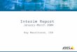 Interim Report  January-March 2004