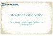Shoreline Conservation