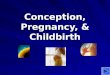 Conception, Pregnancy, & Childbirth