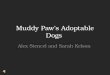 Muddy Paw’s Adoptable Dogs