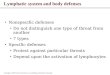 Lymphatic system and body defenses