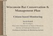 Wisconsin Bat Conservation & Management Plan