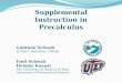Supplemental Instruction in Precalculus