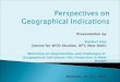 Perspectives on Geographical Indications
