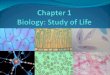 Chapter 1 Biology: Study of Life