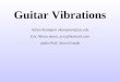 Guitar Vibrations