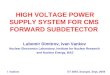 HIGH VOLTAGE POWER SUPPLY SYSTEM  FOR CMS  FORWARD SUBDETECTOR