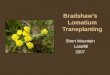 Bradshaw’s Lomatium Transplanting Short Mountain  Landfill 2007