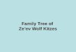 Family Tree of  Ze’ev Wolf Kitzes