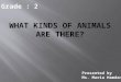 What kinds of animals are there?
