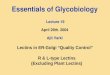 Essentials of Glycobiology  Lecture 19 April 29th. 2004 Ajit Varki