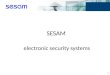 SESAM electronic security systems