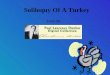 Soliloquy Of A Turkey