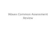 Waves Common Assessment Review