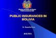 PUBLIC INSURANCES IN BOLIVIA