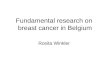 Fundamental research on  breast cancer in Belgium Rosita Winkler