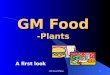 GM Food -Plants
